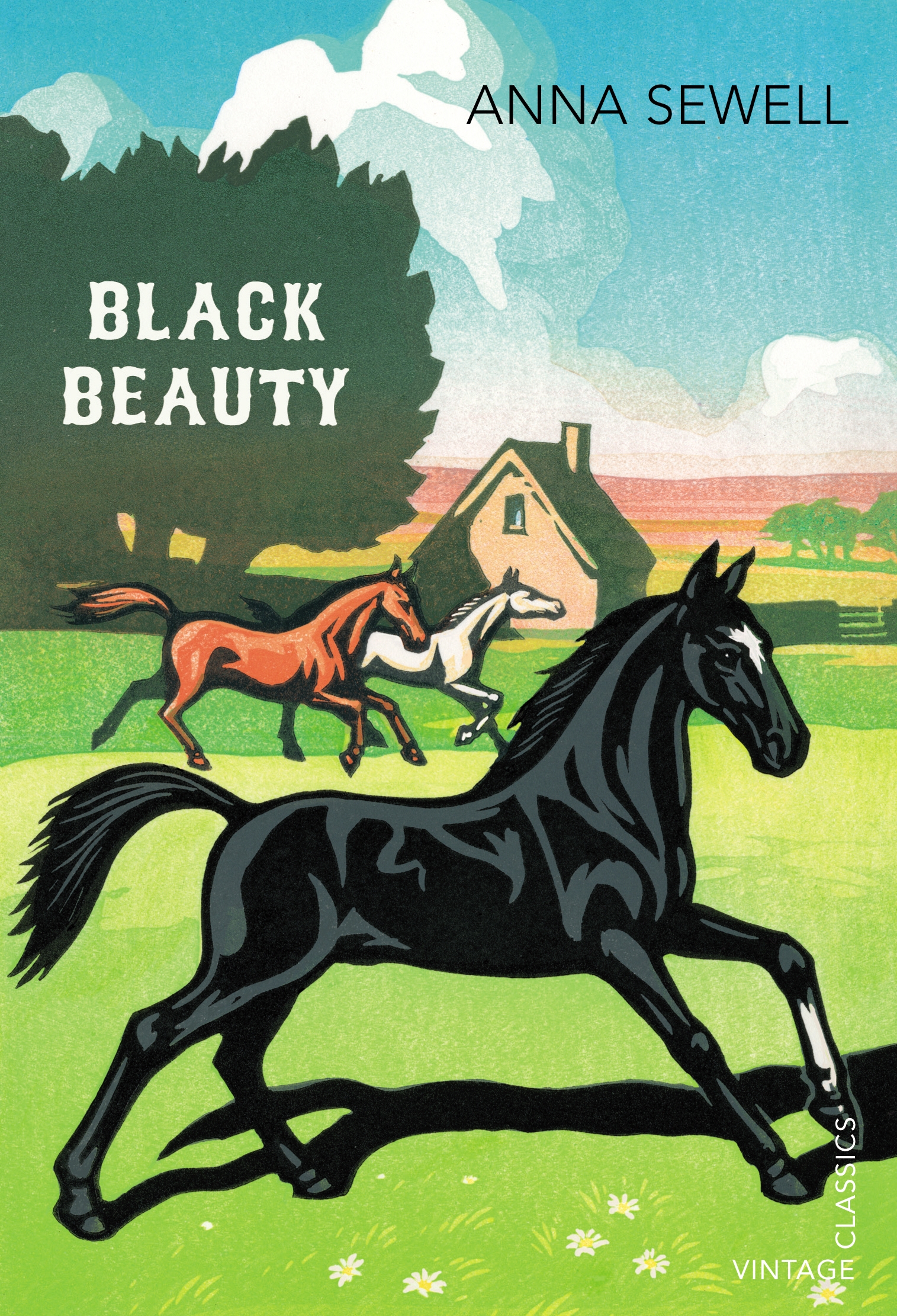 black-beauty-cover-photo.jpg