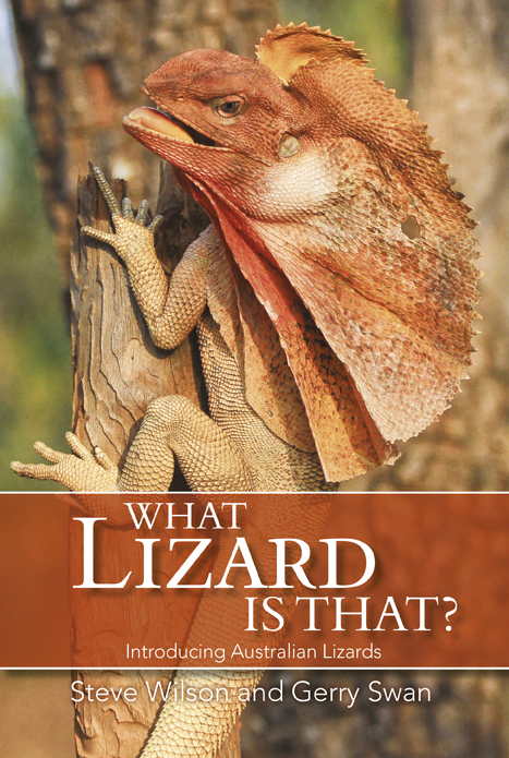 What Lizard Is That?