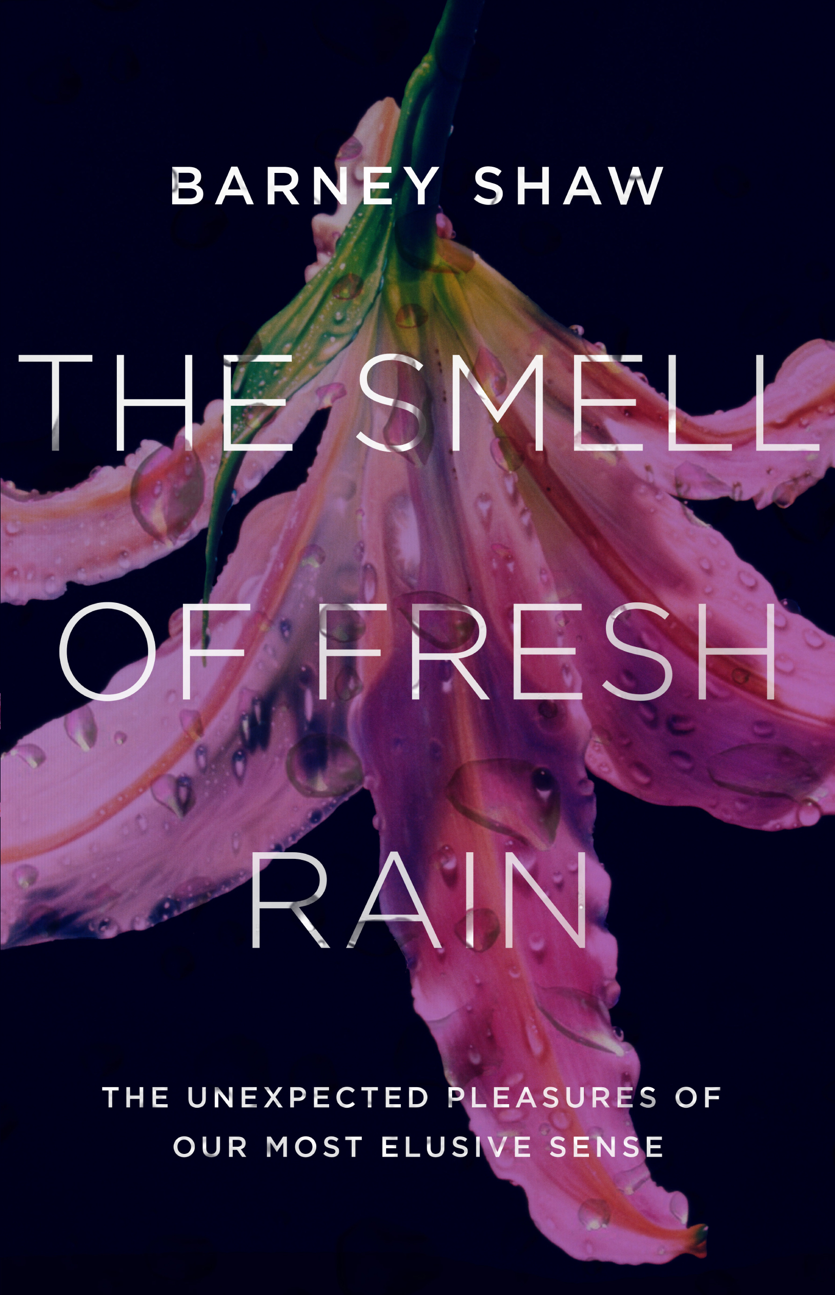 The Smell of Fresh Rain: The unexpected pleasures of our most elusive sense