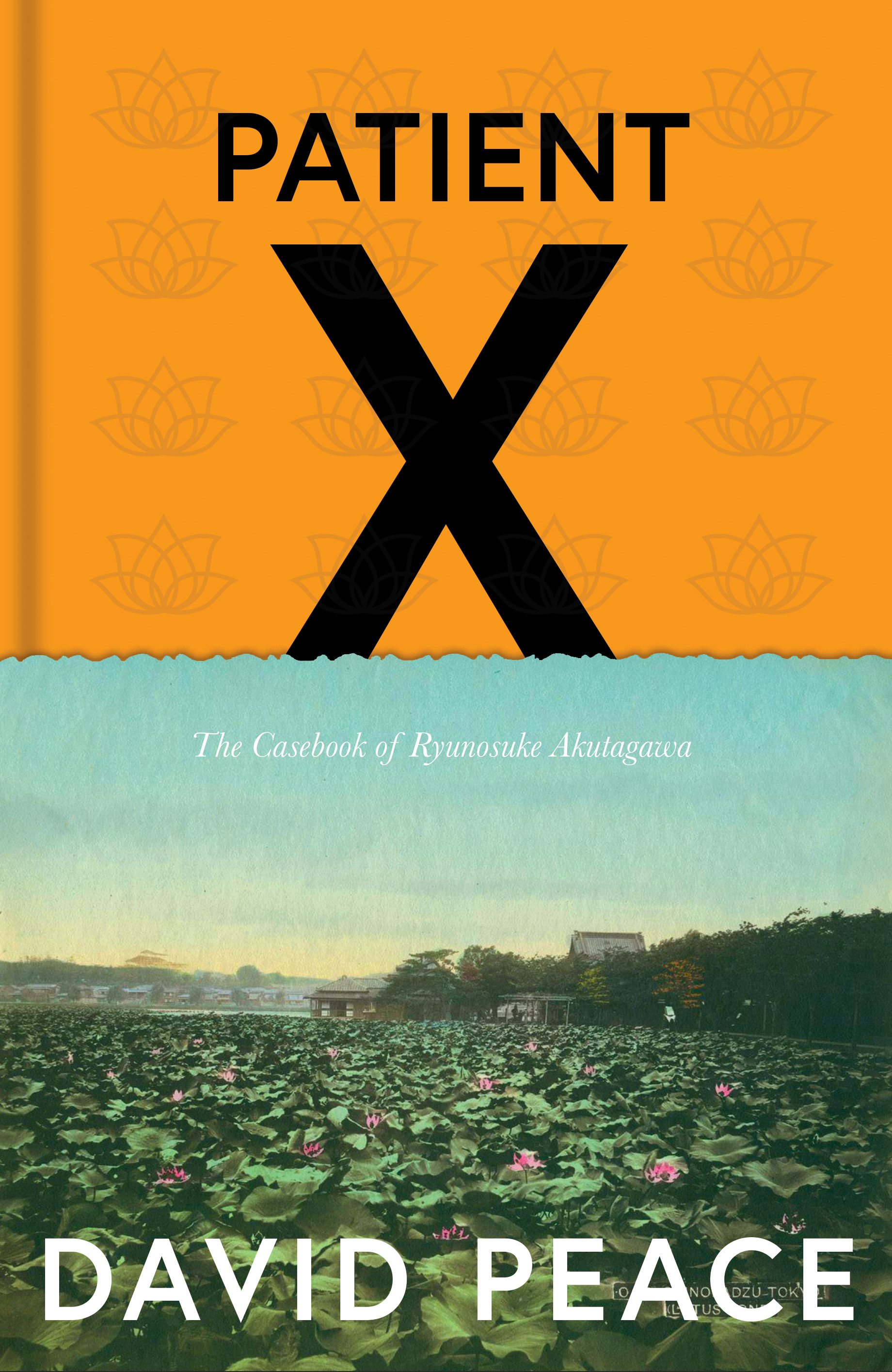 Patient X: The casebook of Ryunosuke Akutagawa by David Peace